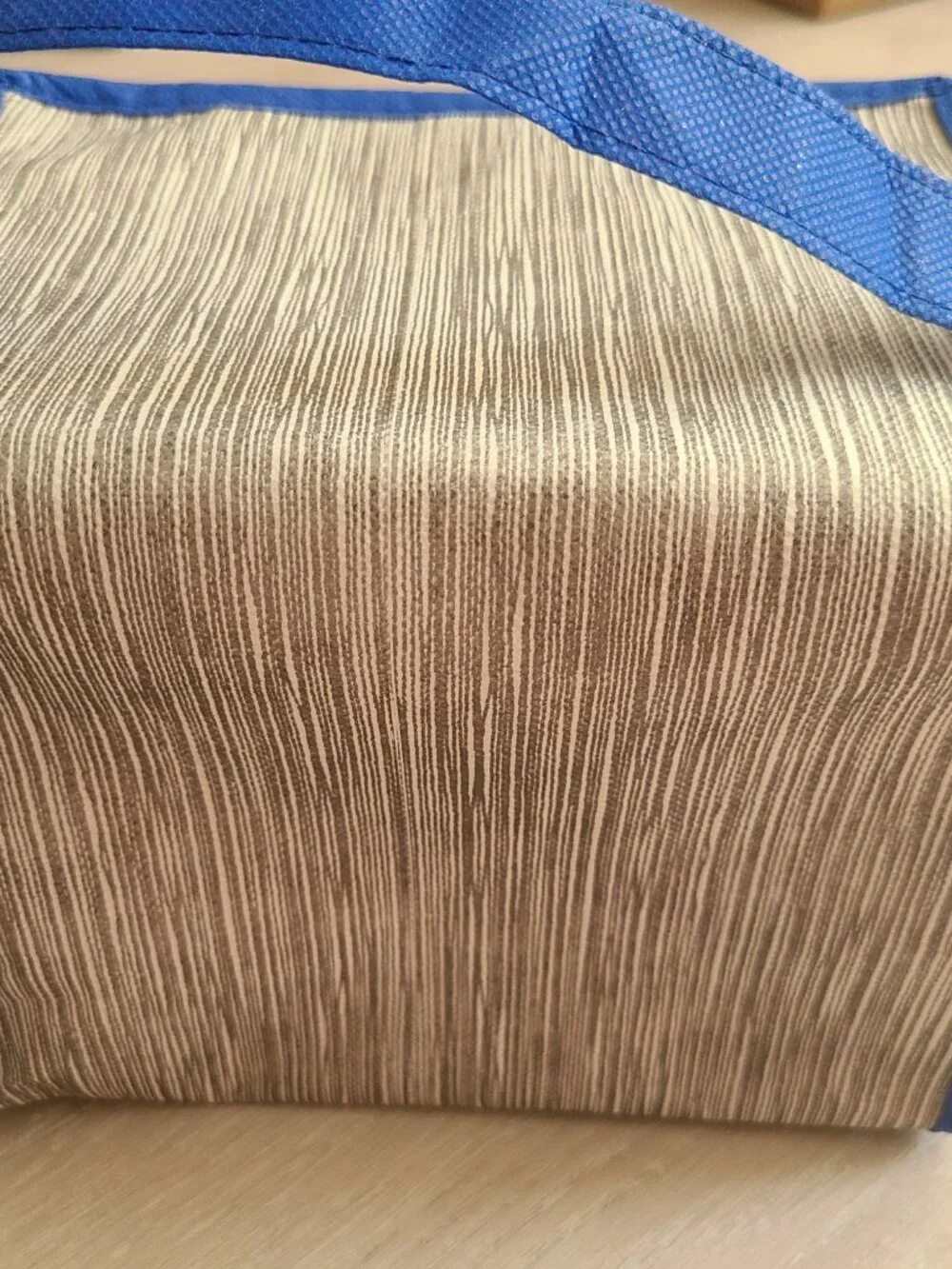 Insulated mini cooler